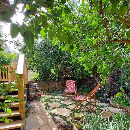 Maple'S Place - אירוח מייפל Rosh Pinna Buitenkant foto